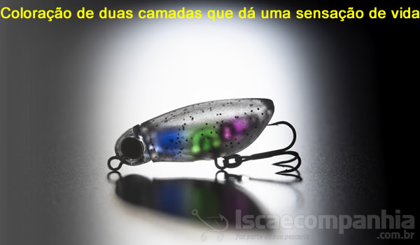 Coloração de duas camadas