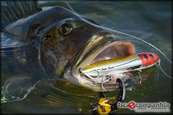 Isca Heddon Super Spook X9256