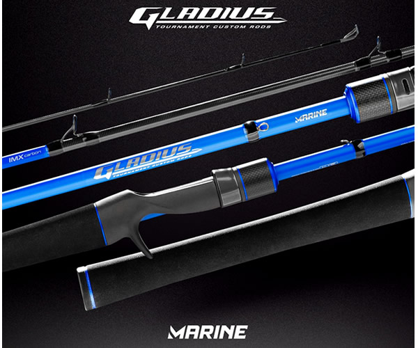 Vara Marine Sports Gladius GL-581MHF 20-30Lb 5`8 (1,73m) - Carretilha (Inteiriça)