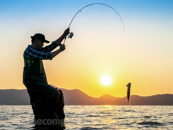 Vara Lumis Tunizza Cast. TNC58251MH 10 - 25LB 5`8 (1,73M) - Carretilha