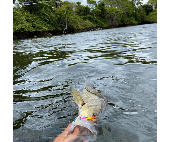 Micro Isca Jumping Jig Big Ones Baby Ones BO - 4cm 13gr